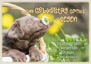 Postkartenserie "Zum Geburtstag" - 12 Stück Postkartenserie "Zum Geburtstag" - 12 Stück