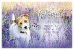 Faltkarte "Zum Geburtstag" - Hund Faltkarte "Zum Geburtstag" - Hund