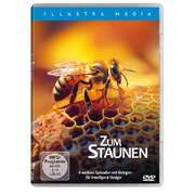 Zum Staunen Zum Staunen