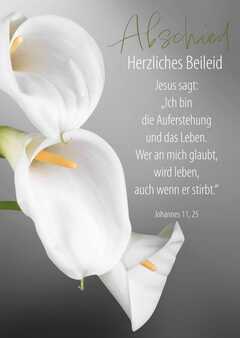 Faltkarte "Abschied - Herzliches Beileid"