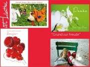Faltkarten-Set Grund zur Freude Faltkarten-Set Grund zur Freude