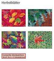 Kleinkärtchenserie Herbstblätter, 12 Stück Kleinkärtchenserie Herbstblätter, 12 Stück