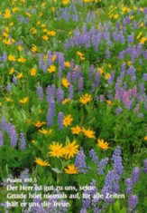 Postkarten Blumenwiese blau, 6 Stück Postkarten Blumenwiese blau, 6 Stück
