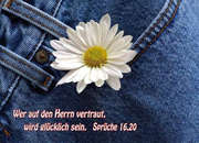 Postkarten Bluejeans, 6 Stück Postkarten Bluejeans, 6 Stück