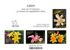 Postkartenserie Lilien, 12 Stück
