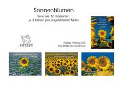 Postkartenserie Sonnenblumen, 12 Stück