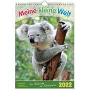 Meine kleine Welt 2020 Meine kleine Welt 2020
