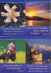 Kleinkärtchenserie Großdruck gemischt, 12 Stück Kleinkärtchenserie Großdruck gemischt, 12 Stück