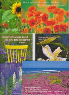 Postkartenserie Sommer-/Herbstblumen, 25 Stück