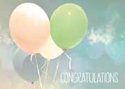 Jan Henkel - Postkarten "Congratulations" - 5er Set Postkarten "Congratulations" - 5er Set