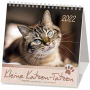 Kleine Katzen-Tatzen 2021 Kleine Katzen-Tatzen 2021