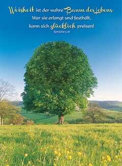 Postkarten: Weisheit ist der wahre Baum des Lebens, 12 Stück