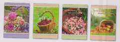 Postkartenserie Körbe mit Blumen und Früchten - 12 Stück Postkartenserie Körbe mit Blumen und Früchten - 12 Stück