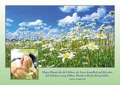 Postkarten: Mögen Blumen für dich blühen, 12 Stück