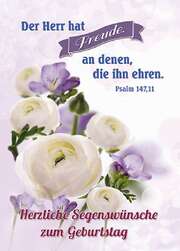Postkarten Geburtstag - 6 Stück Postkarten Geburtstag - 6 Stück